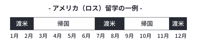 アメリカ（ロス）留学の一例